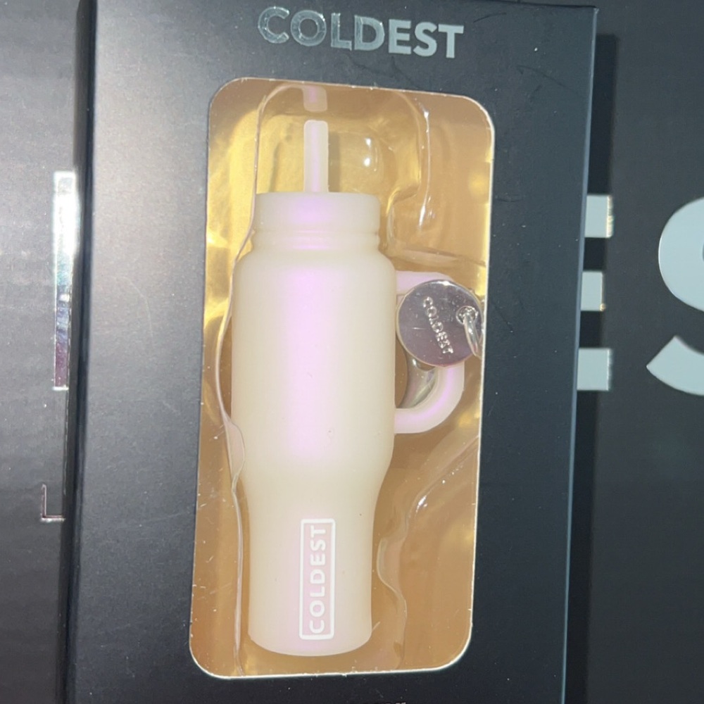 COLDEST Mystery Mini (REVEALED)